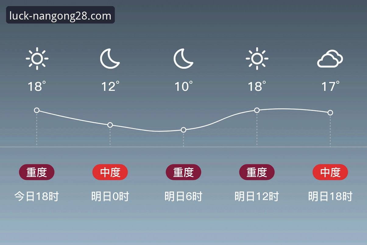 南宫28官网功能与体验详解:从版本更新到用户反馈的全面分析